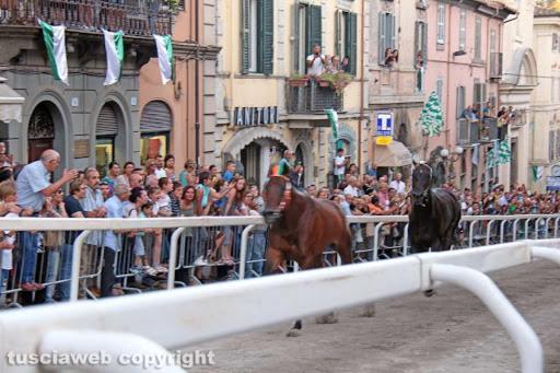 Appartamentino Di Corso Umberto Ronciglione  Luaran gambar